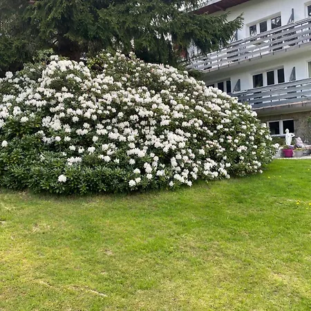 Aparthotel Marant